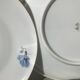 10 plates dessert porcelain decoration flowers 50's melitta
