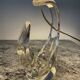 Pair of Saint Louis crystal lamps from the 1950s-60s.