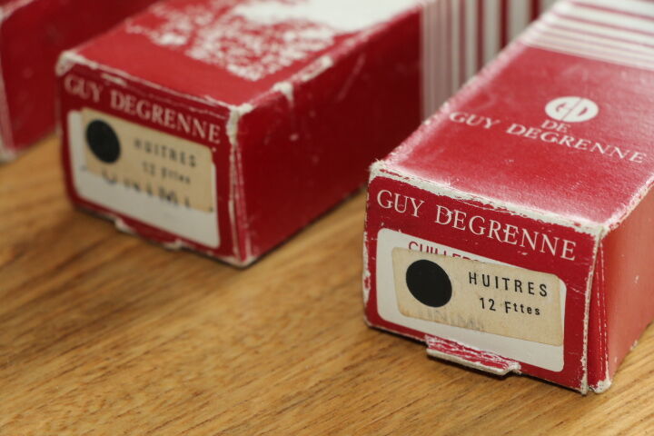 Box of 12 oyster forks Guy Degrenne