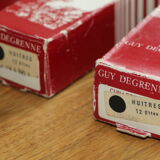 Box of 12 oyster forks Guy Degrenne