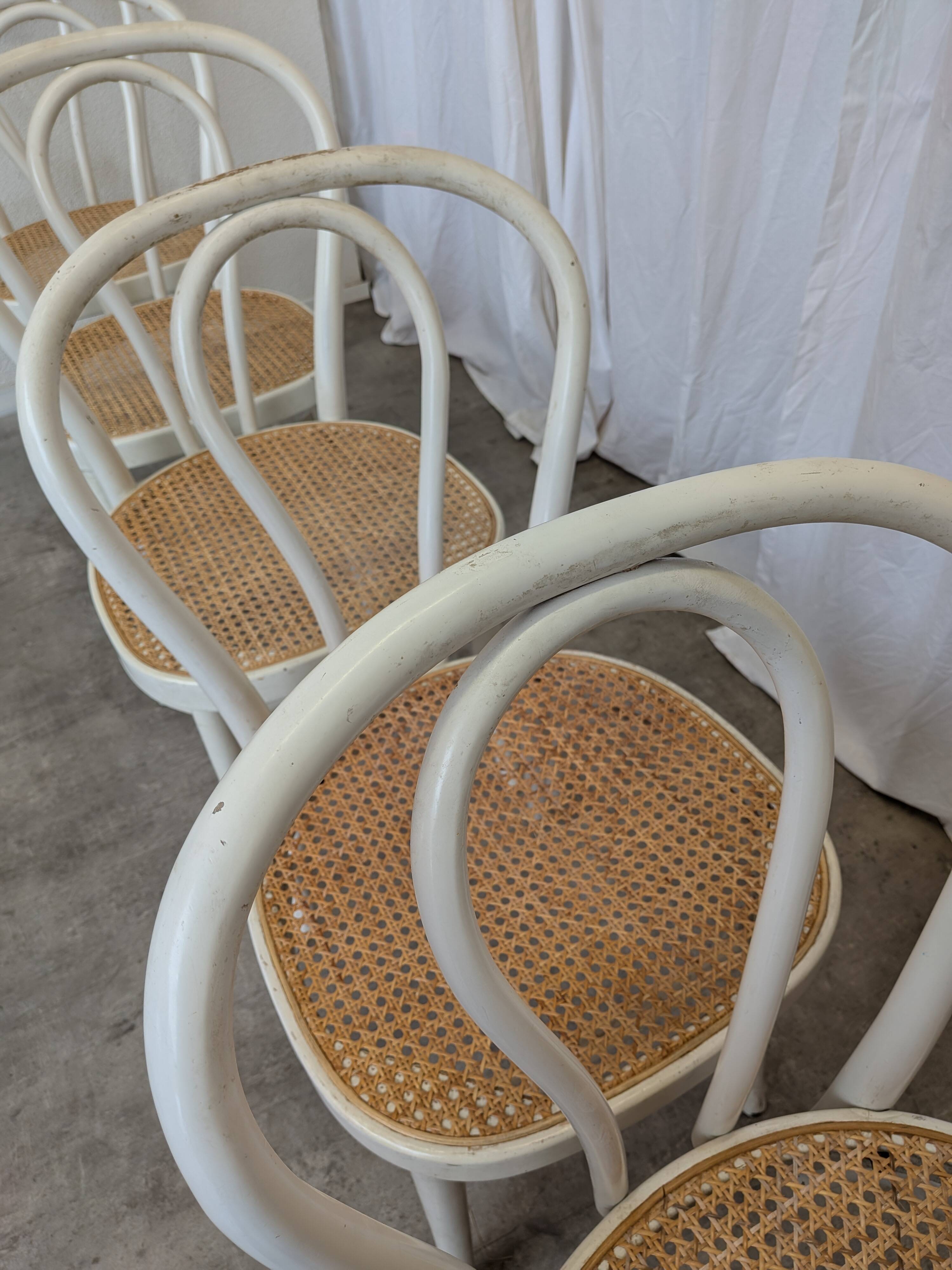 Ensemble de 6 chaises de salle à manger vintage de style Thonet : bois blanc et assise en cannage.