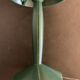 English green lamp Miss Sissi de Flos, design Philippe Starck