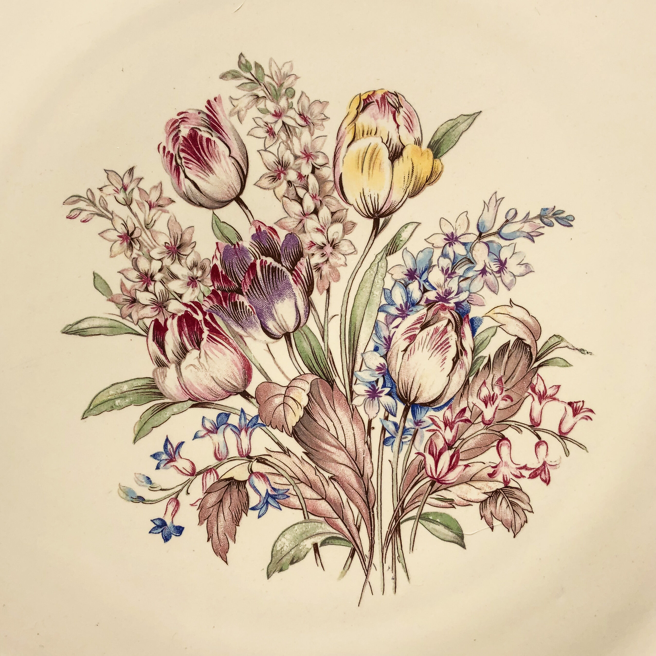 Blonville model Salins cake dish