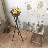 Support sculpture or tripod plants