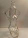 Carafe the transparent glass nymph