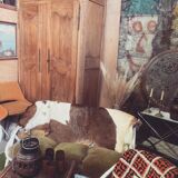 Wardrobe dressing of married 19 th raw aspect.