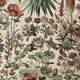 Lithographie sur les fleurs (amarante) - 1900