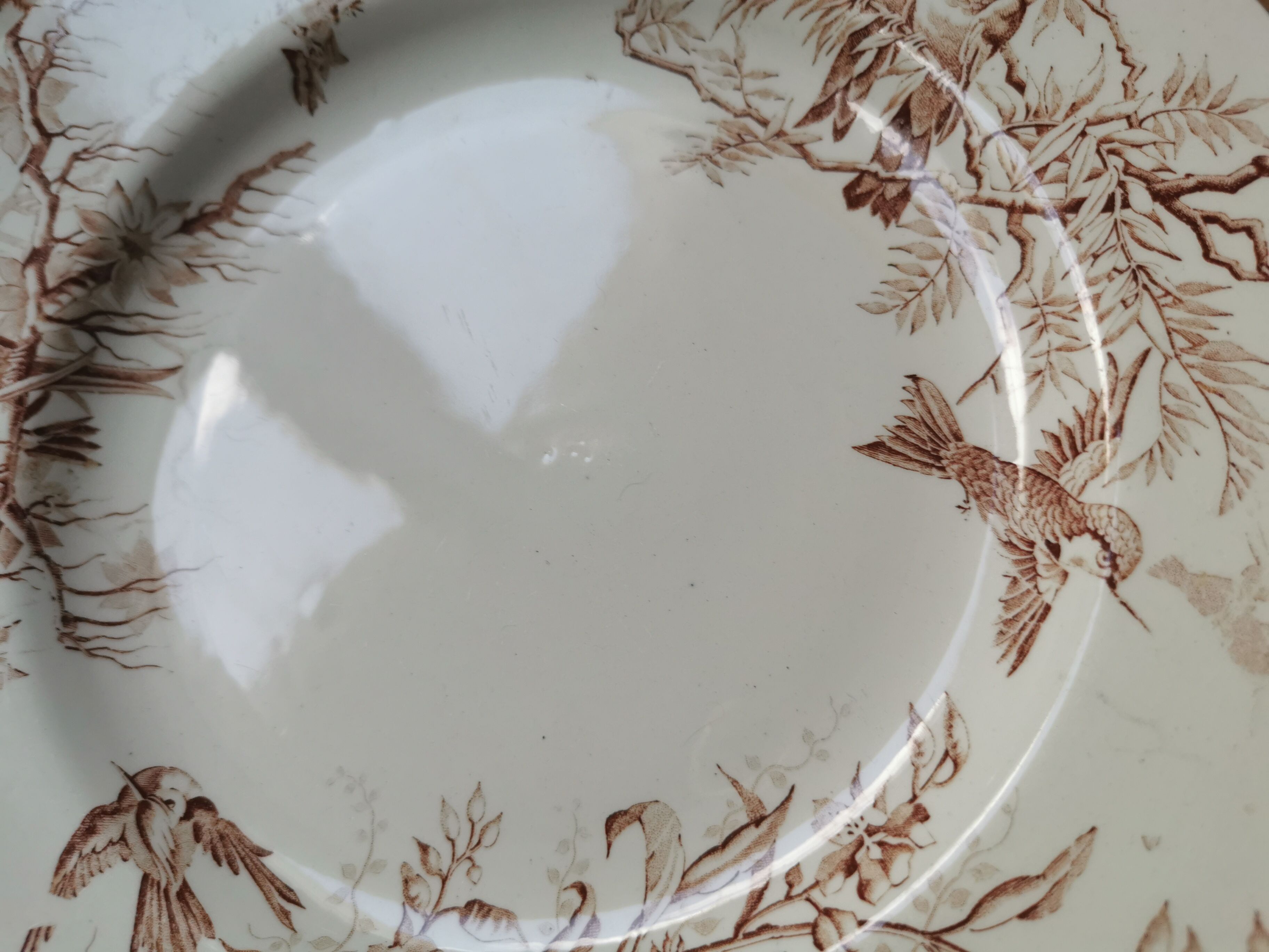 Lot of 8 Colibri luneville plates
