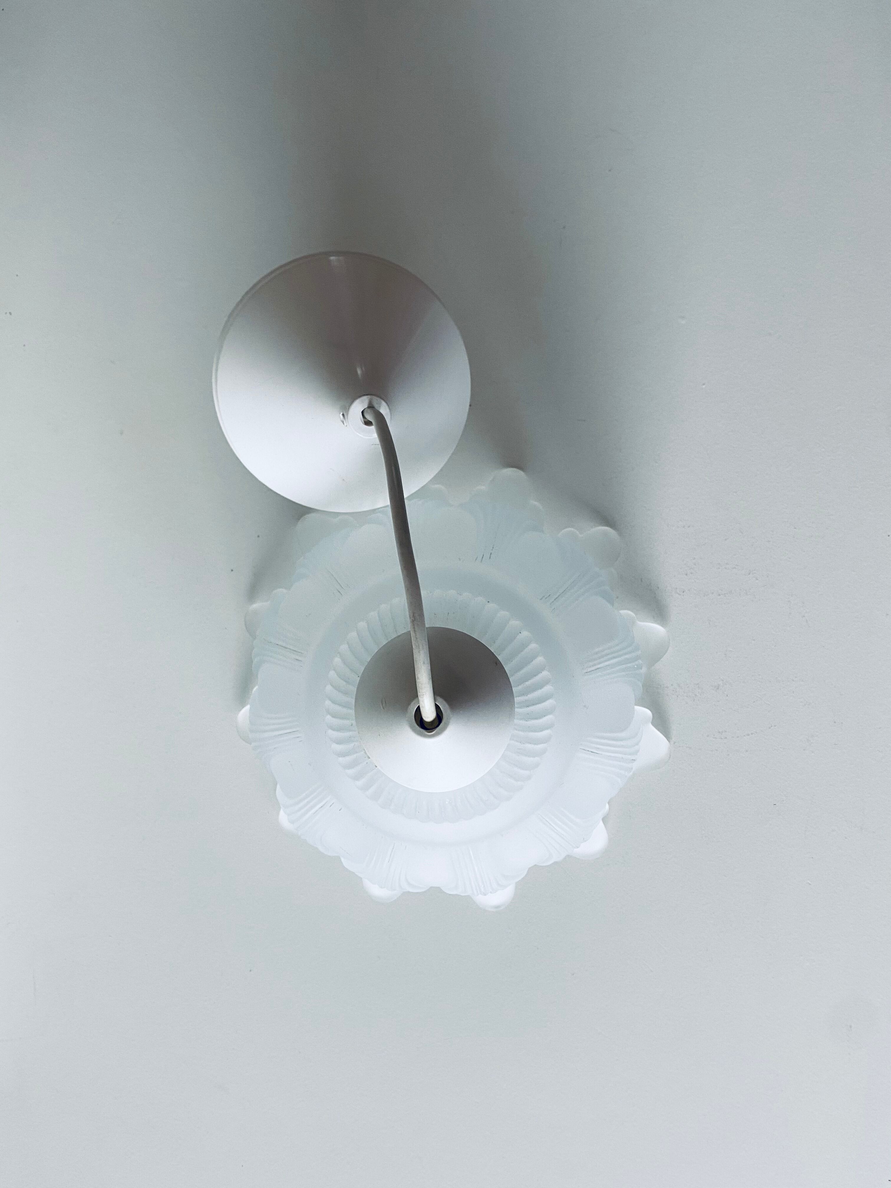 Glass vegetable hanging lamp