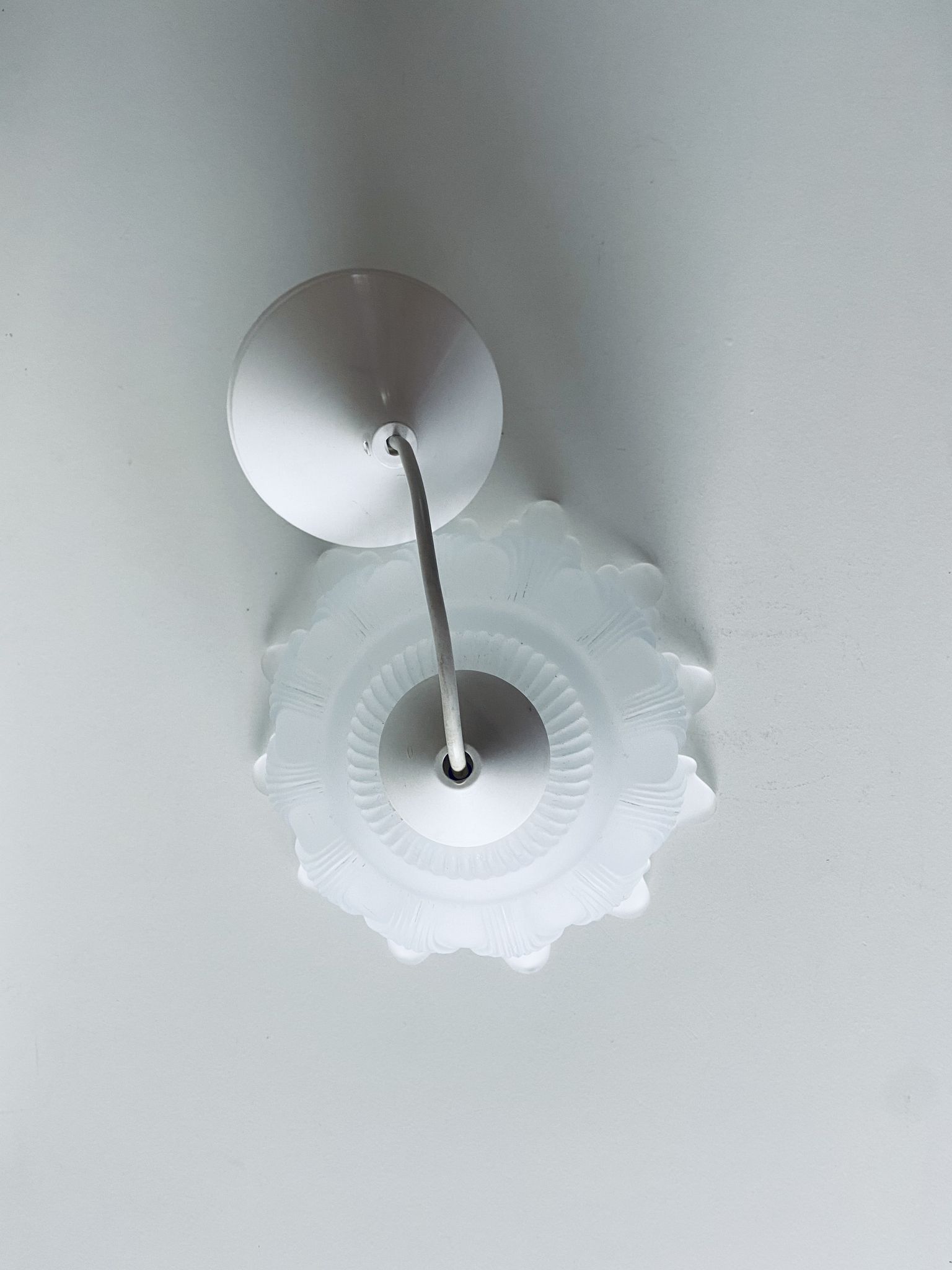 Suspension végétale en verre