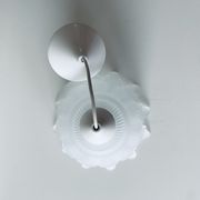 Suspension végétale en verre