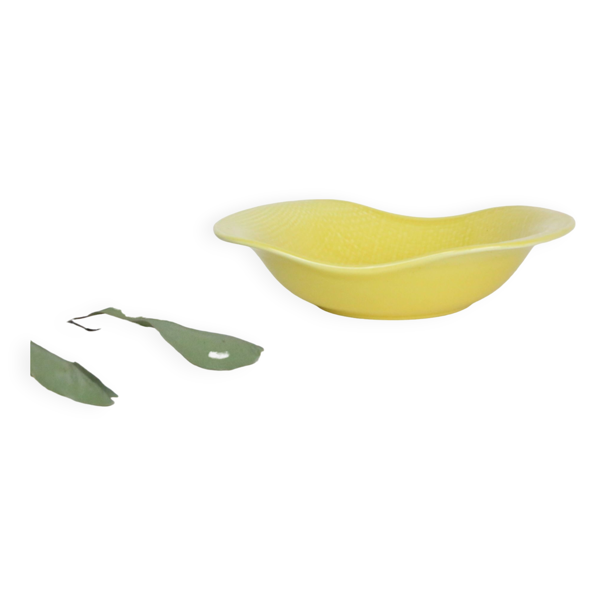 Salins ceramic bowl, 70', French manufacture