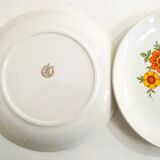 Set of 9 orchies flower plates