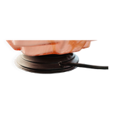 Antique lamp retro art deco skyscraper building 30s