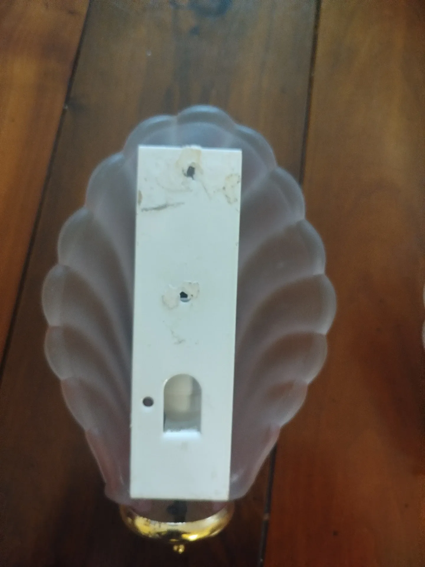Pair of Art Deco shell wall sconces in frosted glass and brass.