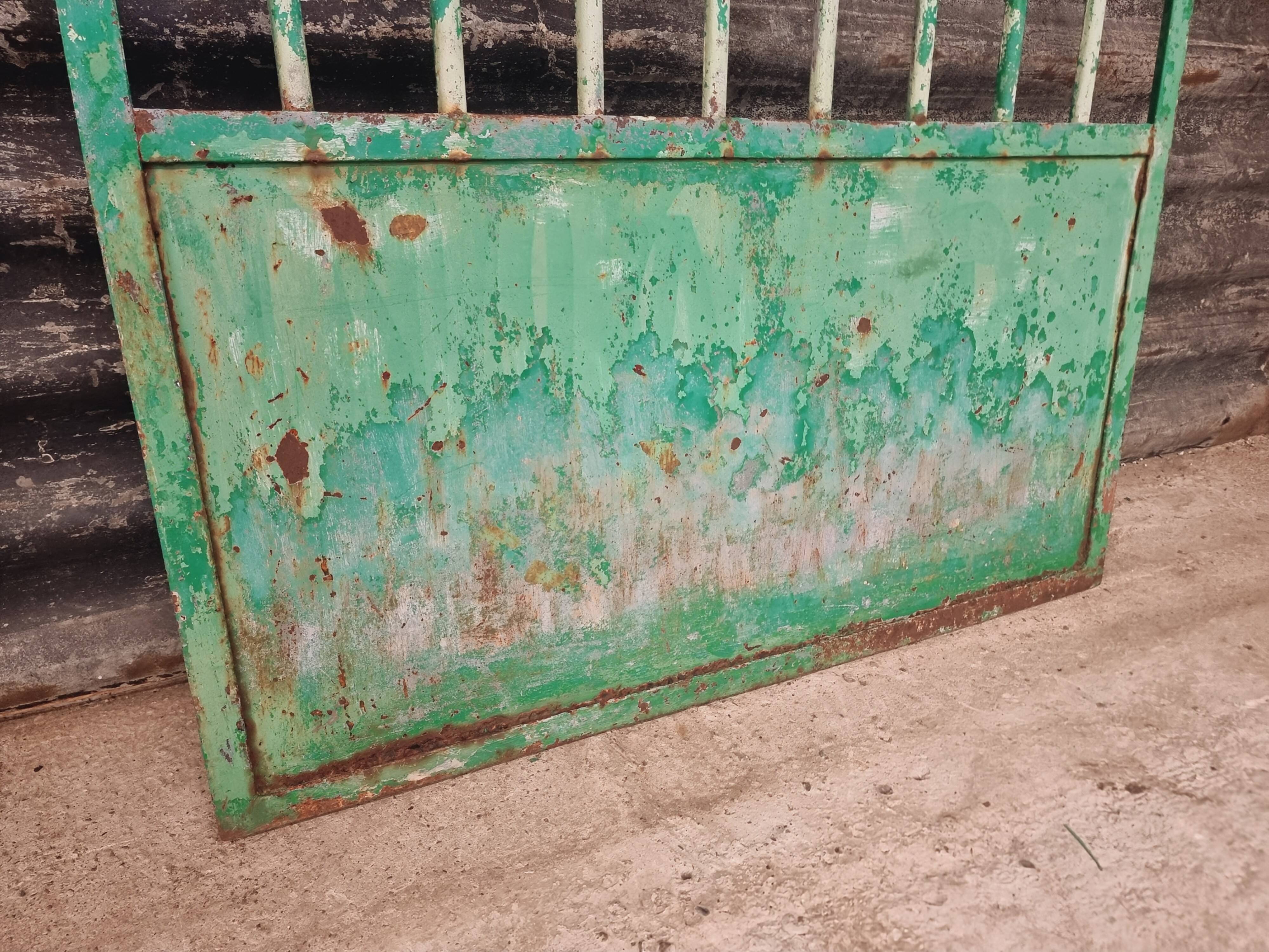 Antique garden gate iron door green 100x150cm