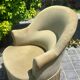 Frog chairs