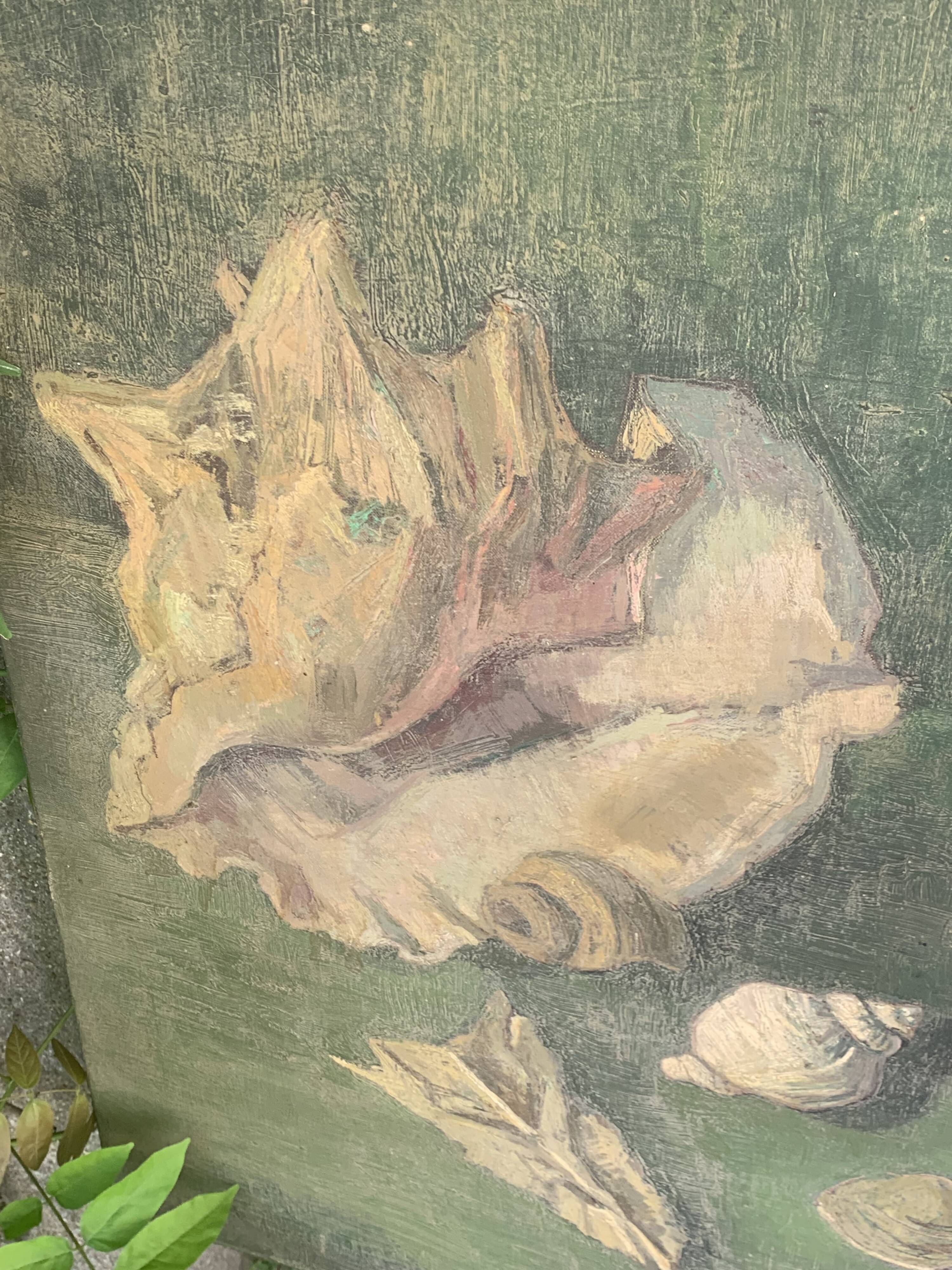 Large painting of shells, cabinet of curiosities, sign, vintage