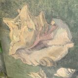 Large painting of shells, cabinet of curiosities, sign, vintage