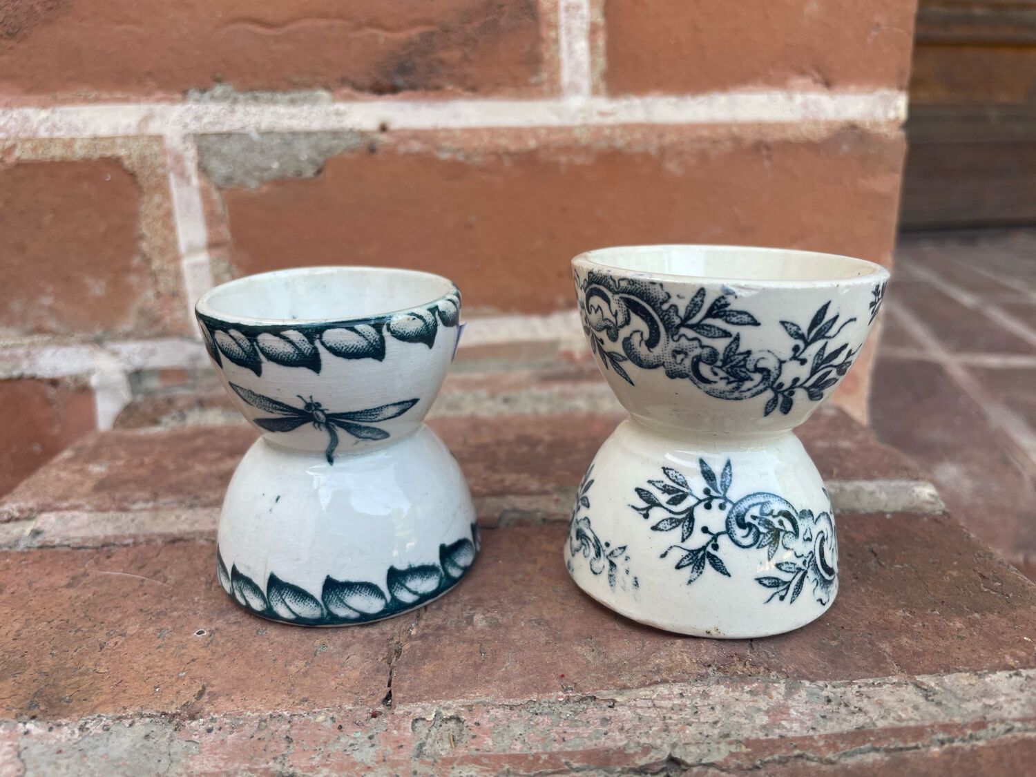 Cockroaches diabolo Terre de Fer