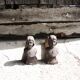 2 old Joan of Arc cast iron andirons
