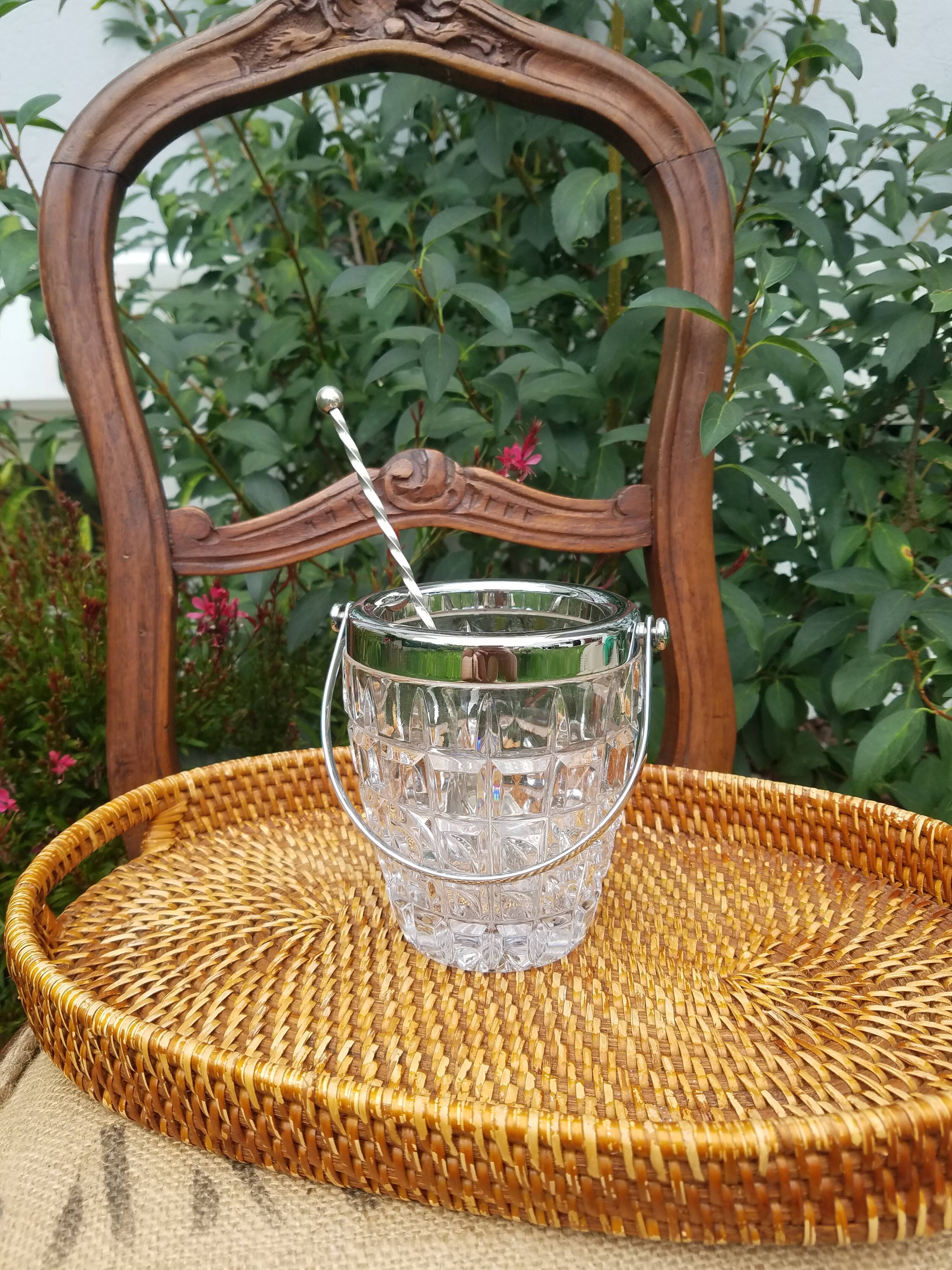 Ice bucket tray with pliers or spoon
