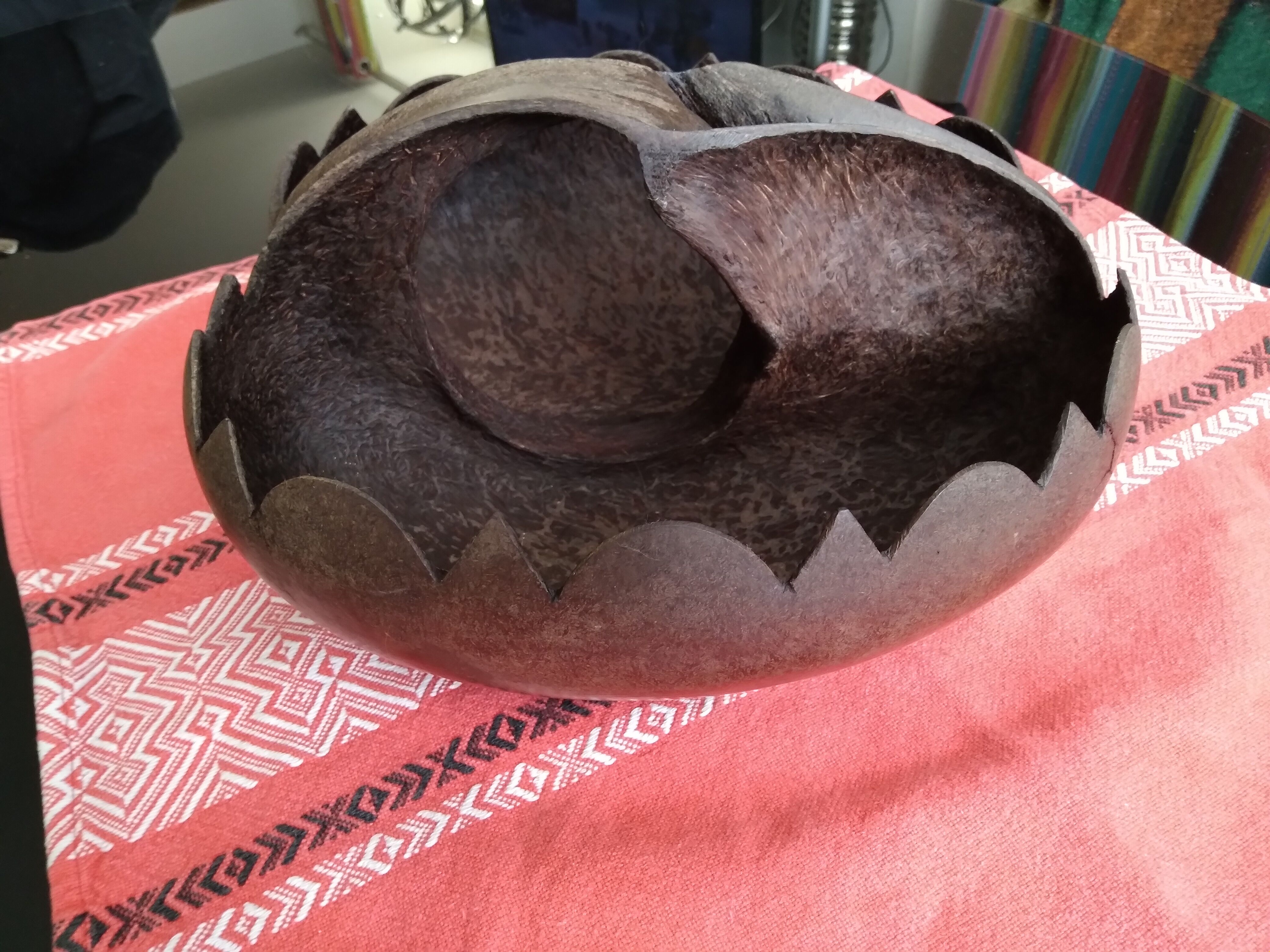 Coconut basket buttocks of Seychelles