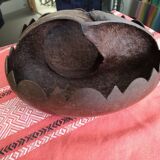 Coconut basket buttocks of Seychelles