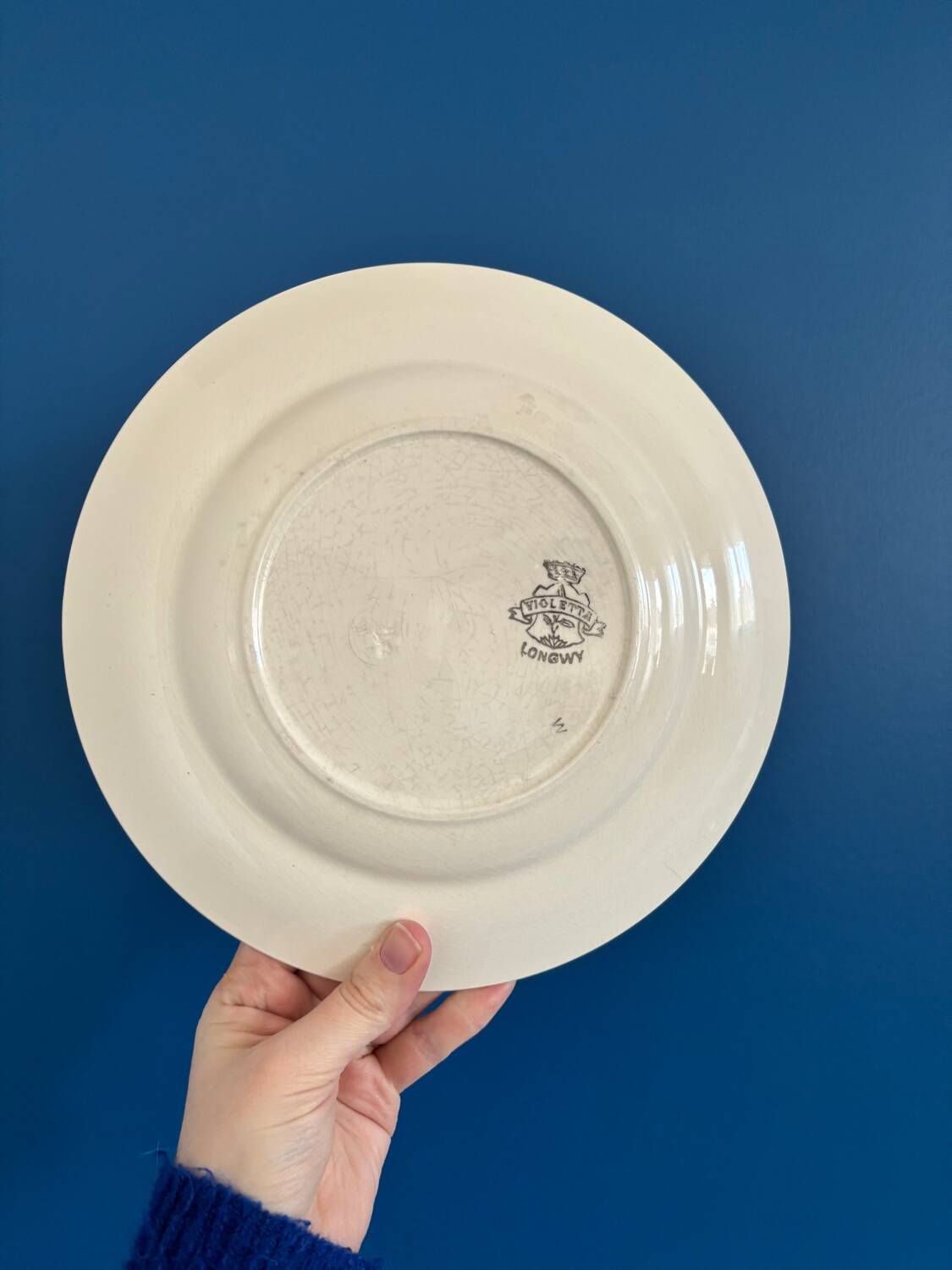 1900s Set of 6 vintage earthenware flat plates, Violetta model by Longwy