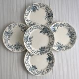 5 assiettes plates