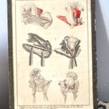 Old fashion engraving Empire 1827 "Parisian Costumes" Satin hats, velvet, blonde