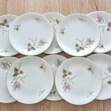 Service à dessert 10 assiettes et plat en porcelaine PMR Bavaria Jaeger & Co