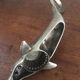 Dolphin-shaped bottle opener