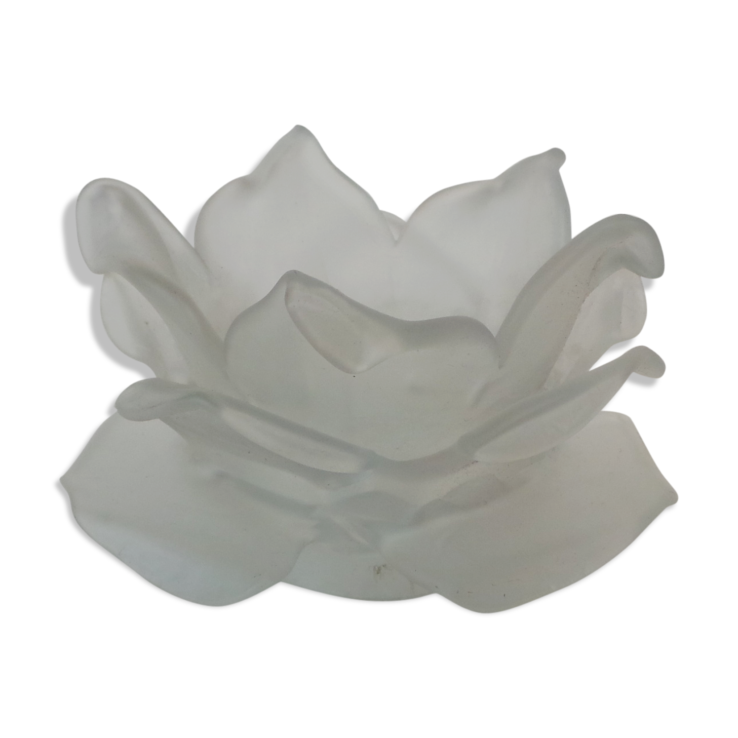 Tulip flower-shaped glass