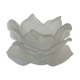 Tulip flower-shaped glass