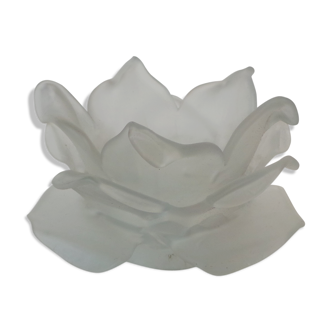 Tulip flower-shaped glass