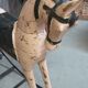 Powder pink and black rocking wooden horse