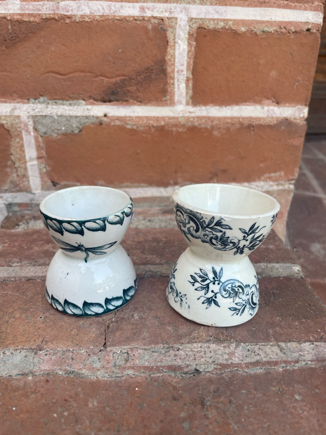 Cockroaches diabolo Terre de Fer