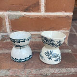 Cockroaches diabolo Terre de Fer