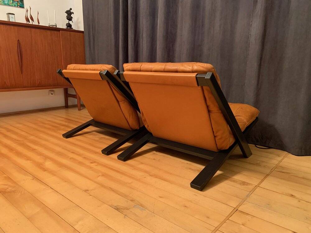 Set of armchairs by Ueli Berger, de Sede, Switzerland, 1970s