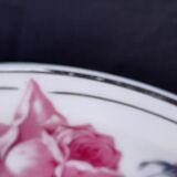 Plat creux  porcelaine Rose-Marie UML France