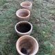 4 planters