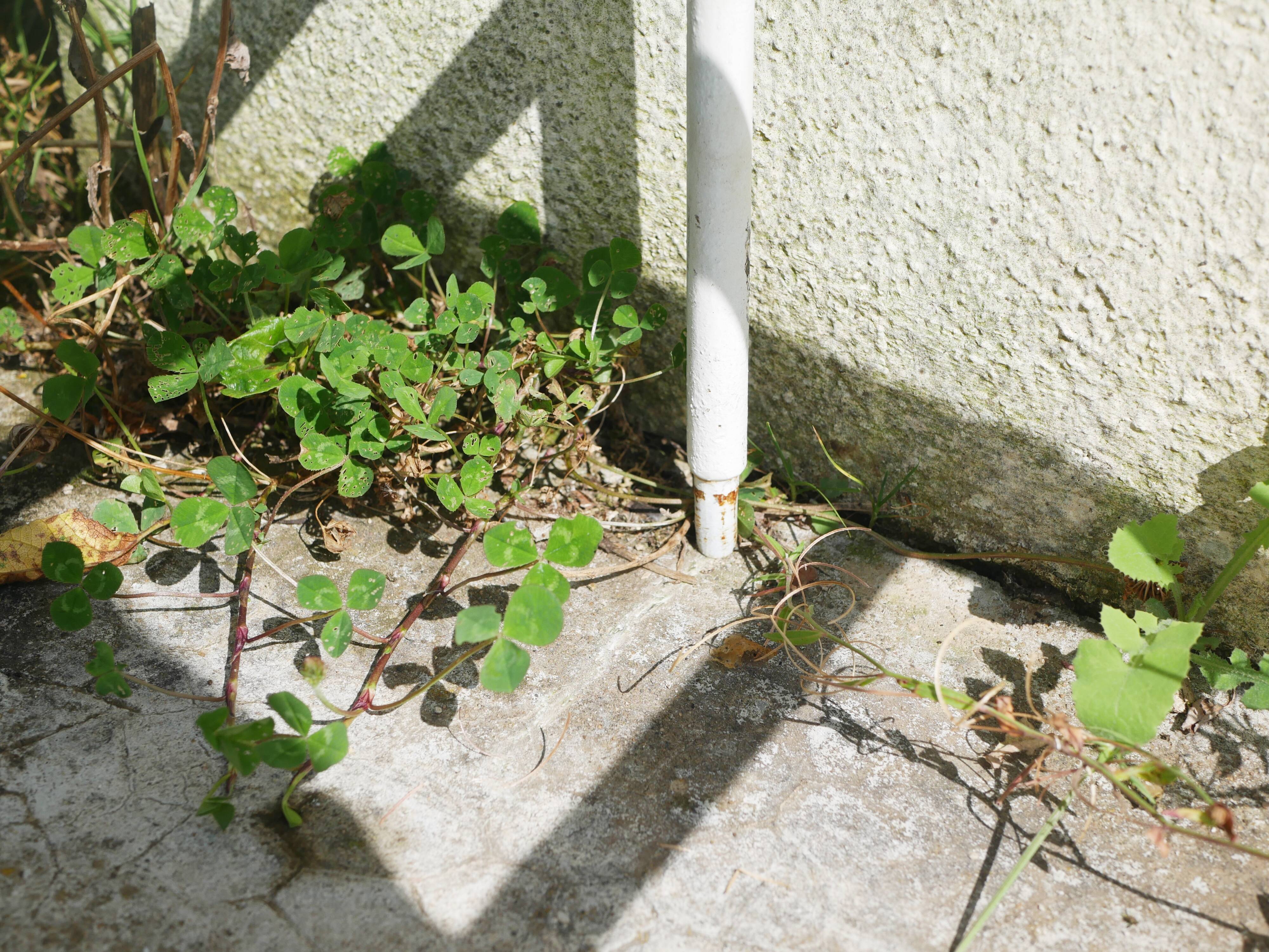 Old wrought iron bed bench