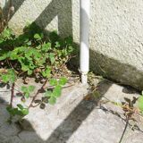 Old wrought iron bed bench