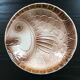 Plate Sarreguemines fish decoration