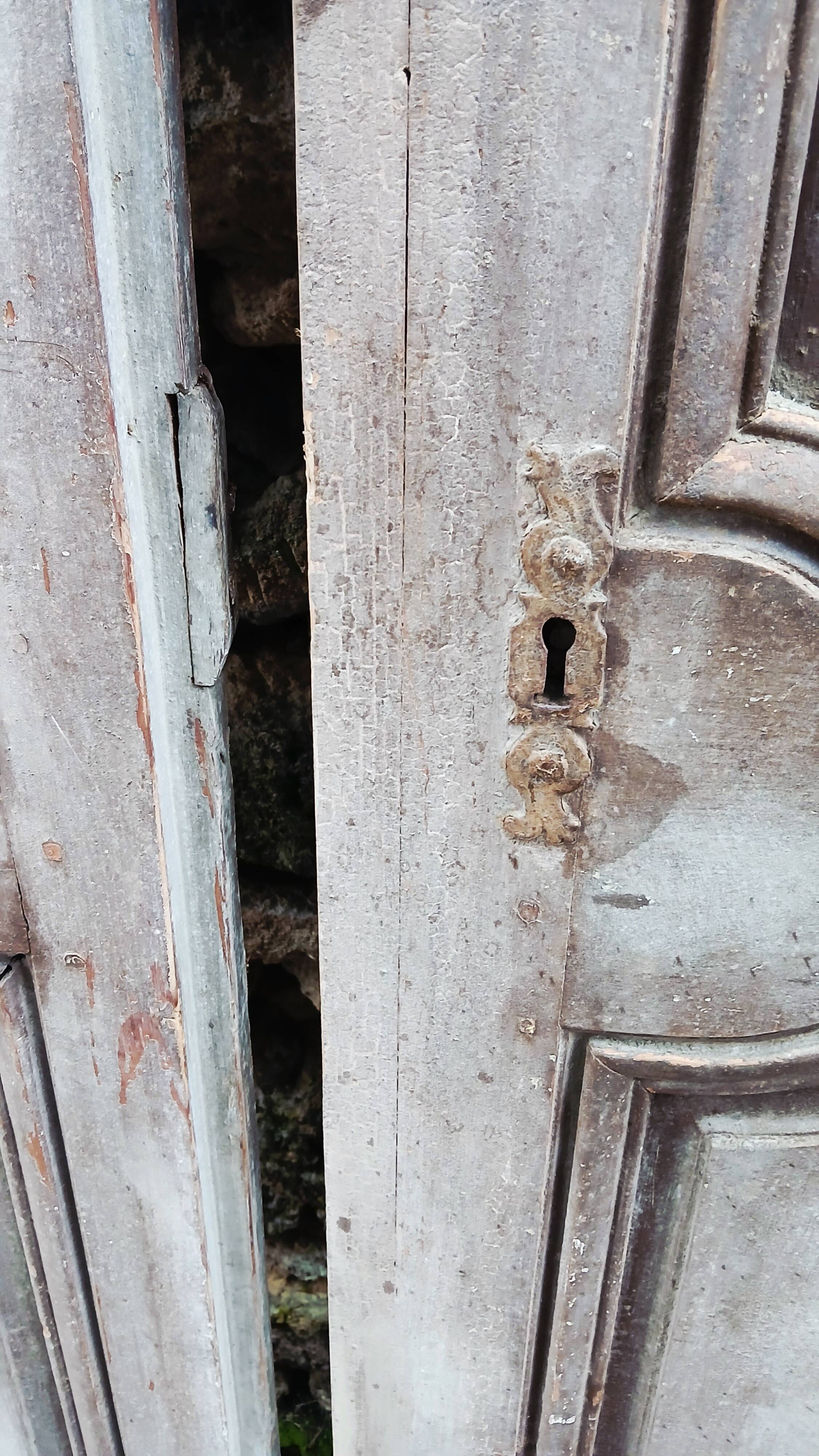 Pair of antique doors