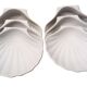 Set of 6 porcelain scallop shells for the oven