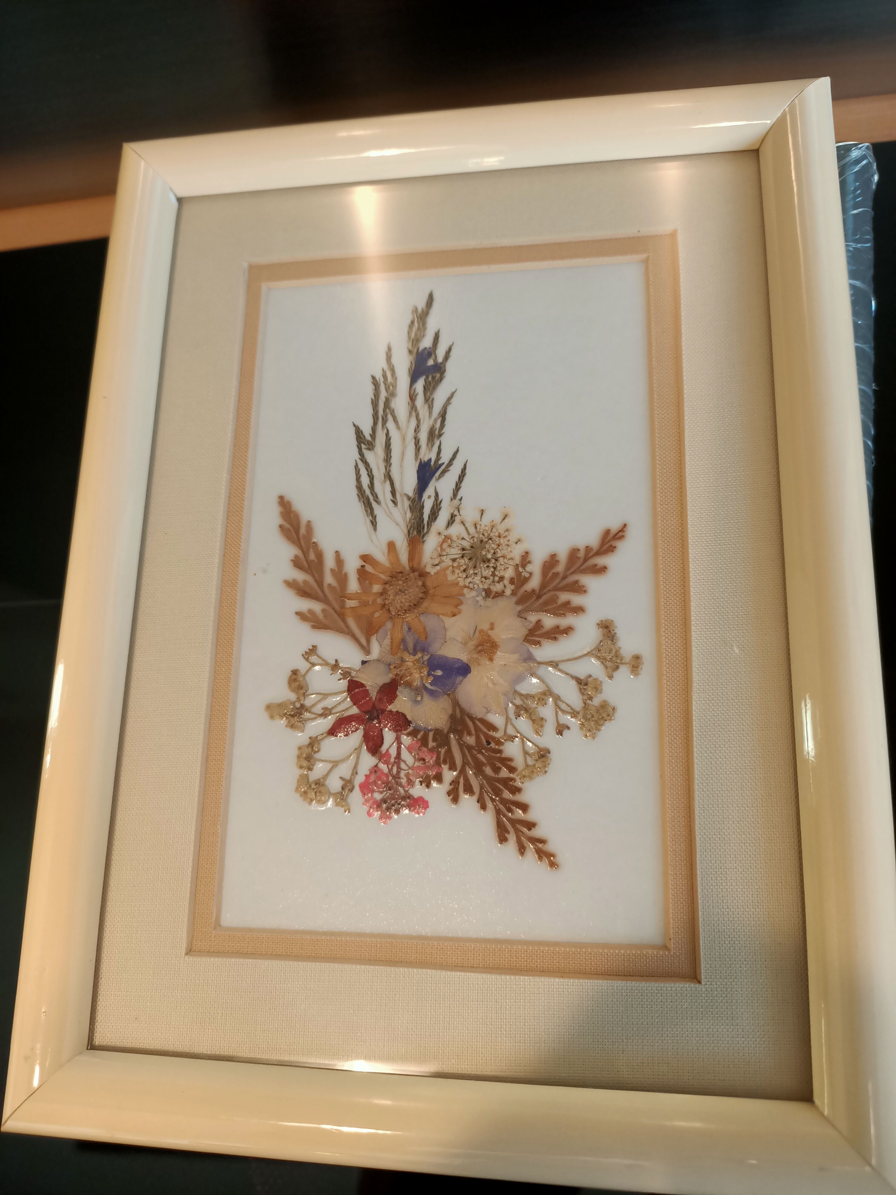 5 herbariums, framed floral arrangement
