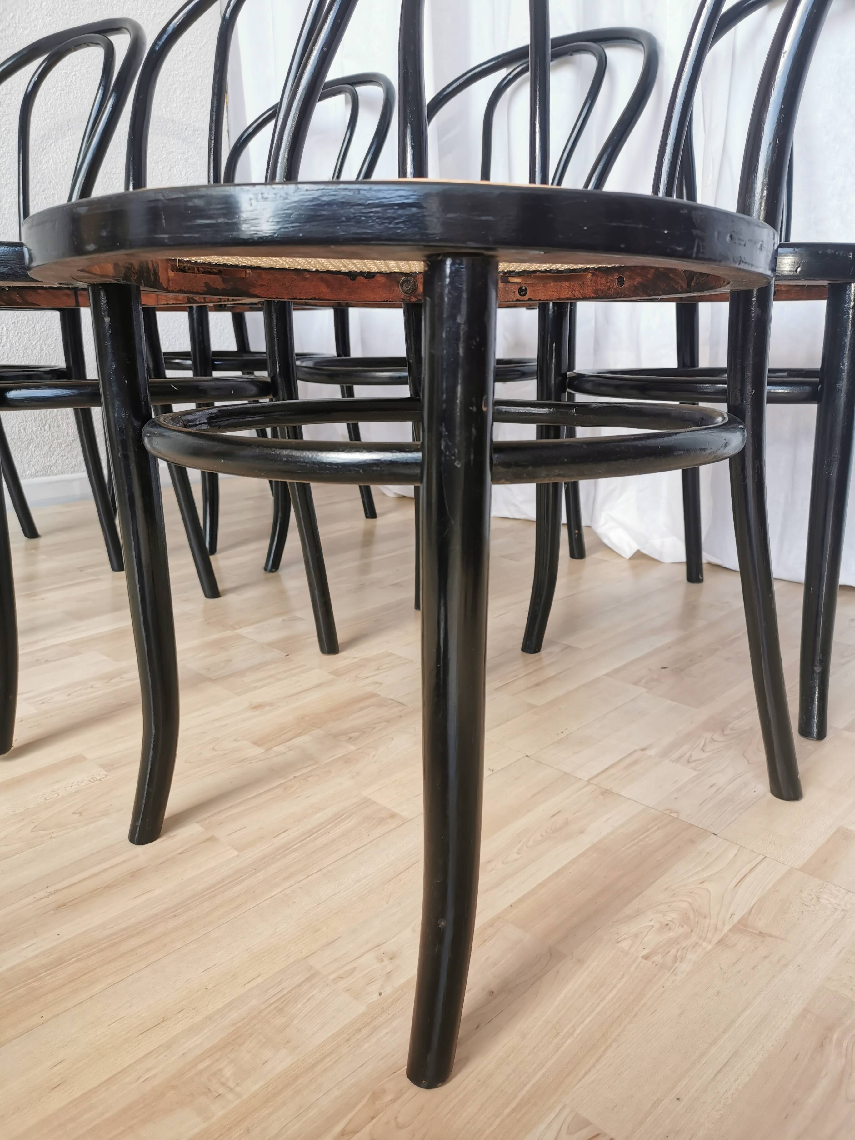 Set of 6 Vintage Thonet Style Dining Chairs: Black Bentwood Cane Seat