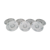 Lot de 7 assiettes plates en porcelaine Czecoslovakia modèle Bohemia